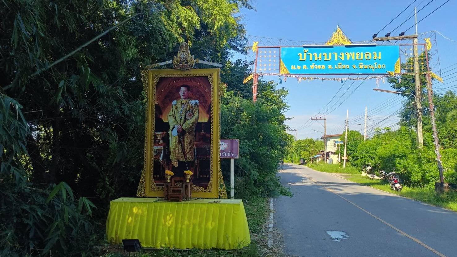ดำเนินการตัดแต่งกิ่งไม้และเถาวัลย์